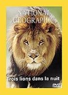 National Geographic - Trois lions dans la nuit